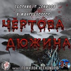 Олег Кожин, Илья Масодов, Дмитрий Тихонов, Алексей Провоторов, Александр Подольский, Михаил Павлов, Александр Матюхин, Евгений Абрамович, Виктория Колыхалова, Алексей Мельник, Дмитрий Лазарев, Вадим Волобуев - Чертова дюжина (Сборник)