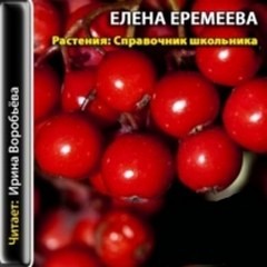 Елена Еремеева - Справочник школьника