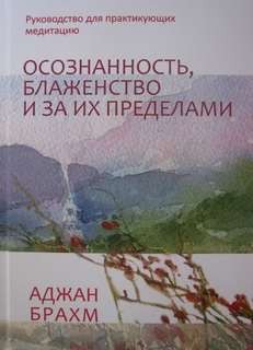 Аджан Брахм - Осознанность, блаженство и за их пределами