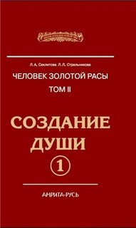 Людмила Стрельникова, Лариса Секлитова - Создание души. Книга 1