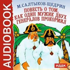 Михаил Евграфович Салтыков-Щедрин - Повесть о том, как один мужик двух генералов прокормил