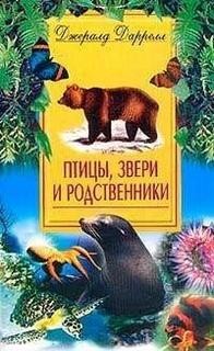 Джеральд Даррелл - По всему свету: 1.2. Корфу. Птицы, звери и родственники