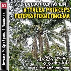 Всеволод Гаршин - Петербургские письма