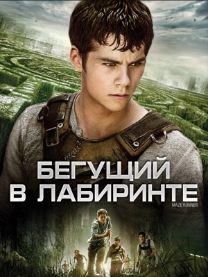 Джеймс Дэшнер - Бегущий в лабиринте