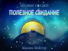 Максим Мейстер - Полезное свидание