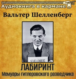 Вальтер Шелленберг - Лабиринт. Мемуары гитлеровского разведчика