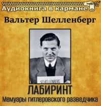 Лабиринт. Мемуары гитлеровского разведчика