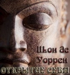 Шон де Уоррен - Открытие себя. Введение в самопознание