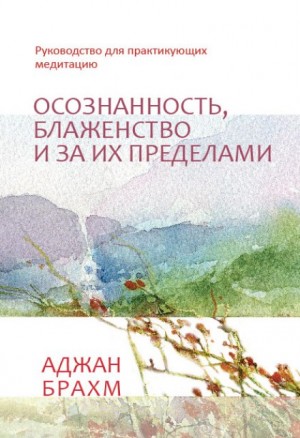 Аджан Брахм - Осознанность, блаженство и за их пределами. Руководство для практикующих медитацию