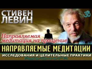 Стивен Левин - Направляемые медитации, исследования и целительные практики