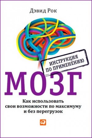 Дэвид Рок - Мозг. Как использовать свои возможности по максимуму и без перегрузок