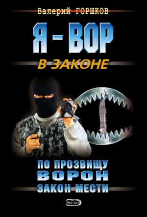 Валерий Горшков - По прозвищу Ворон. Закон мести