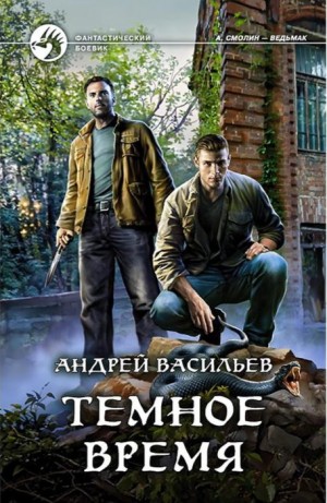 Андрей Васильев - А. Смолин, ведьмак: 5. Тёмное время