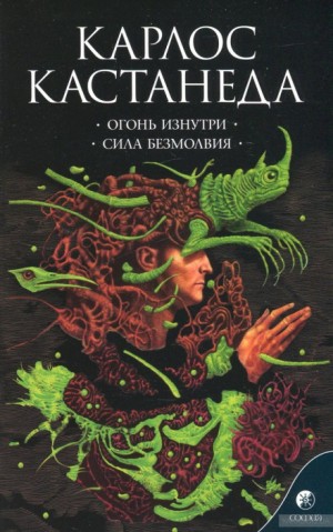 Карлос Кастанеда - Огонь изнутри