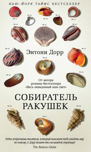 Энтони Дорр - Собиратель ракушек