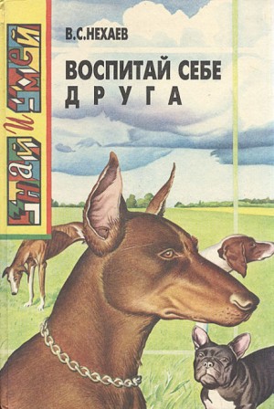 Виталий Нехаев - Воспитай себе друга