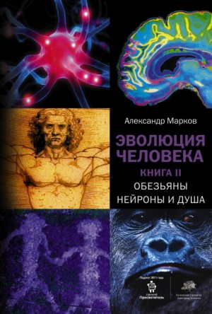 Александр Марков, Елена Наймарк - Эволюция человека: 2. Обезьяны, нейроны и душа