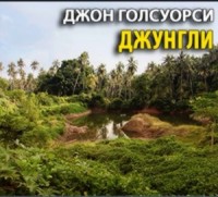 Джунгли