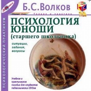 Борис Волков - Психология юноши. Ситуации, задания, вопросы