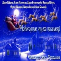Тёмные аллеи: Новогодние чудеса на аллеях