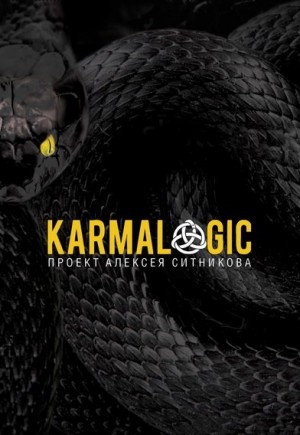 Алексей Ситников - KARMALOGIC