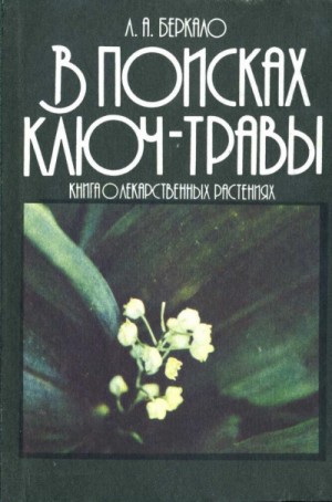 Людмила Беркало - В поисках ключ-травы