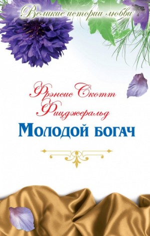 Фрэнсис Скотт Фицджеральд - Молодой богач