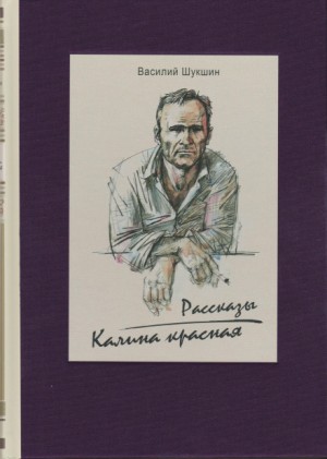 Василий Шукшин - Мой зять украл машину дров