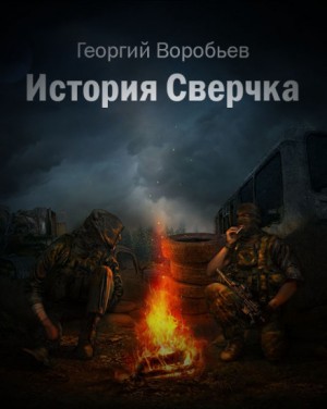 Георгия Воробьёв - История Сверчка