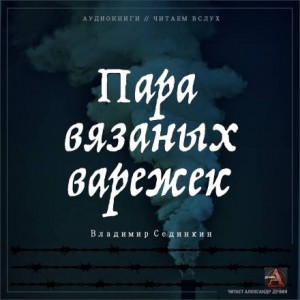 Владимир Сединкин - Пара вязаных варежек