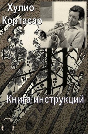 Хулио Кортасар - Книга инструкций