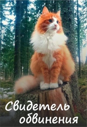 Алёна Волгина - Свидетель обвинения