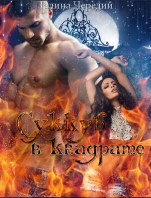 Галина Чередий - Суккуб в квадрате