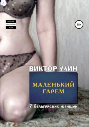 Виктор Улин - Маленький гарем