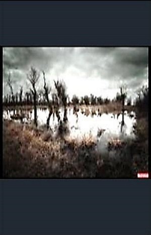 Дафна дю Морье - Пруд