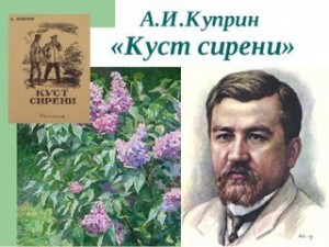 Александр Иванович Куприн - Куст сирени