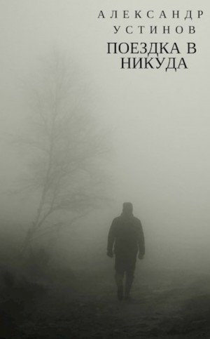 Александр Устинов - Выживший. Поездка в никуда