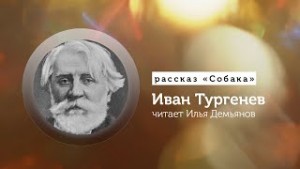 Иван Сергеевич Тургенев - Собака