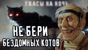 Саша Р. - Не бери бездомных котов в квартиру!