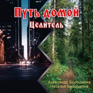 Александр Белошапка - Путь Домой. Книга 2