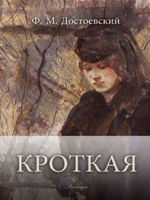 Фёдор Михайлович Достоевский - Дневник писателя: 2.11. Кроткая