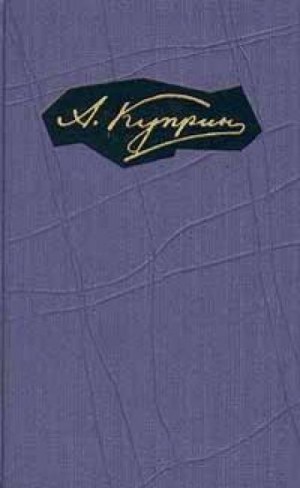 Александр Иванович Куприн - На разъезде