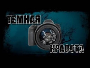 Дмитрий Видинеев - Темная красота