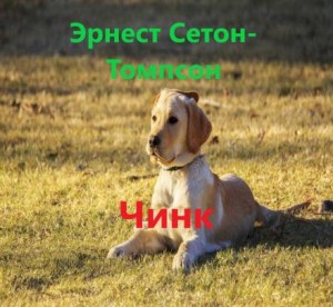 Эрнест Сетон-Томпсон - Чинк