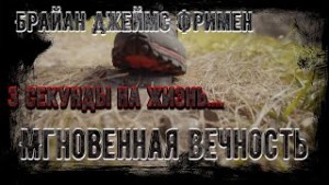 Брайан Фриман - Мгновенная вечность