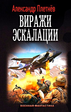 Александр Плетнёв - Проект «Орлан»: 5. Виражи эскалации