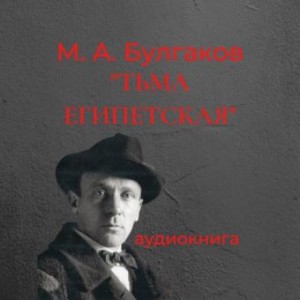 Михаил Афанасьевич Булгаков - Записки юного врача: 5. Тьма египетская