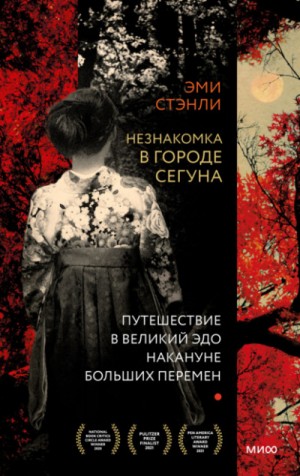 Эми Стэнли - Незнакомка в городе сегуна. Путешествие в великий Эдо накануне больших перемен