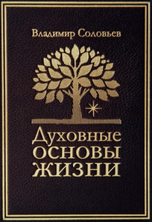 Владимир Сергеевич Соловьёв - Духовные основы жизни