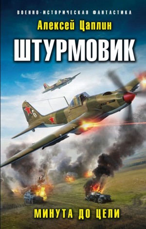 Алексей Цаплин - Штурмовик: 2. Минута до цели